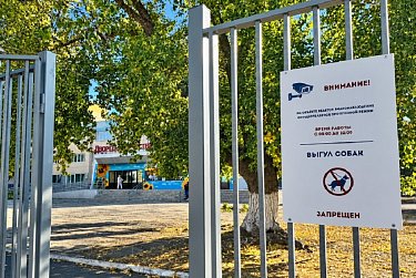 Территория Дворца творчества детей и молодежи Оренбурга теперь в безопасности